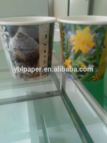 Paper cup planting,seedling nursery pot