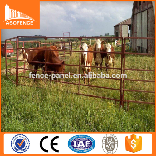 poultry farming equipment/used livestock panels/catle handling equipments