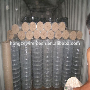 1.5" welded fence roll/roll galvanized mesh