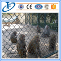 High Quality Chain link netting