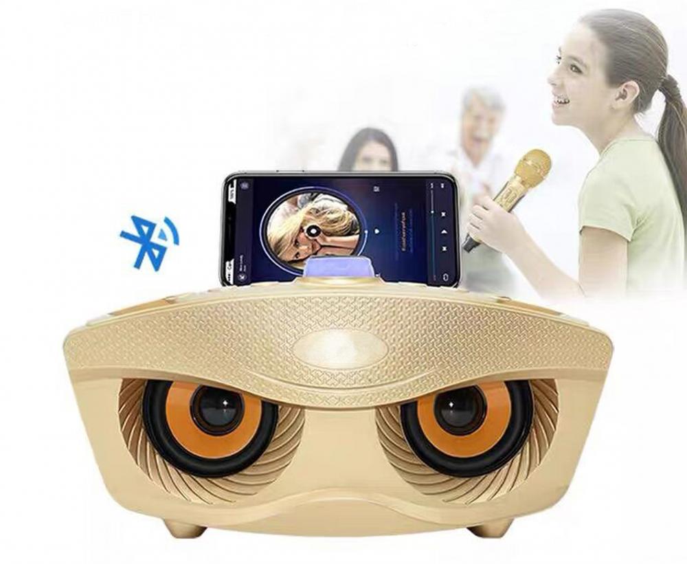 Cute And Cool Owl Home Karaoke Speaker