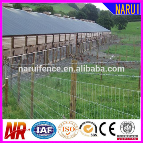 Black Iron Farm Fence