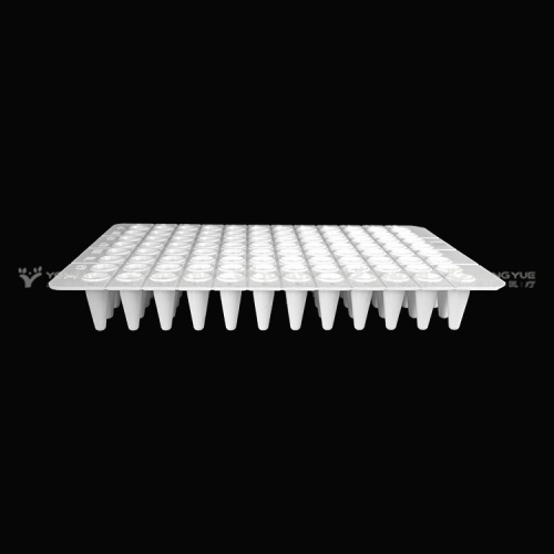 96-well PCR plate without skirt