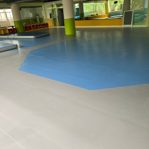 indoor gymnasiumvloeren van de beste kwaliteit