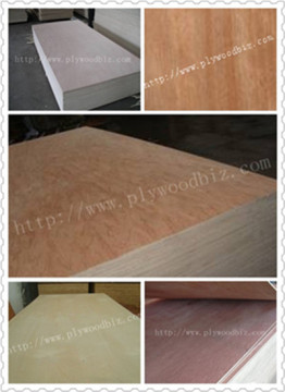 Okoume Venner/Packing Wood /Mld Board