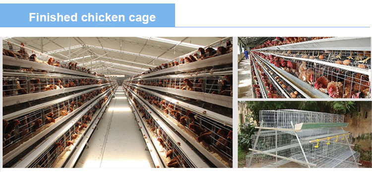 China Poultry Feeding Chicken Cage Welding Machinery