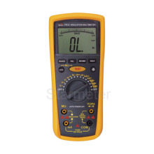 Insulation Multimeter (IT812)