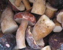 2010 crop IQF boletus edulis (whole)