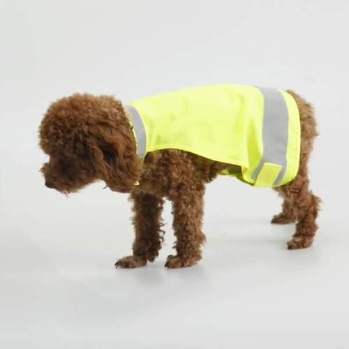 the most popular lovely dog reflective vest