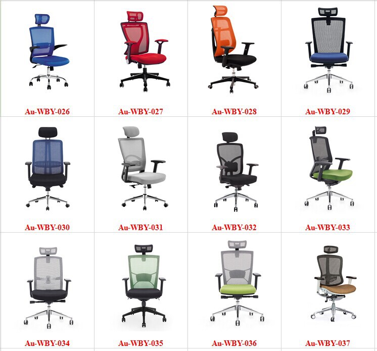 Full Mesh working chair Swivel Office Ergonomic Executive Chair with footrest