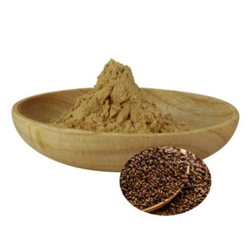 Semen Cassiae Obtuseleaf Senna Seed Extract