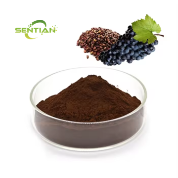 Natural 95% OPC Procyanidins Powder