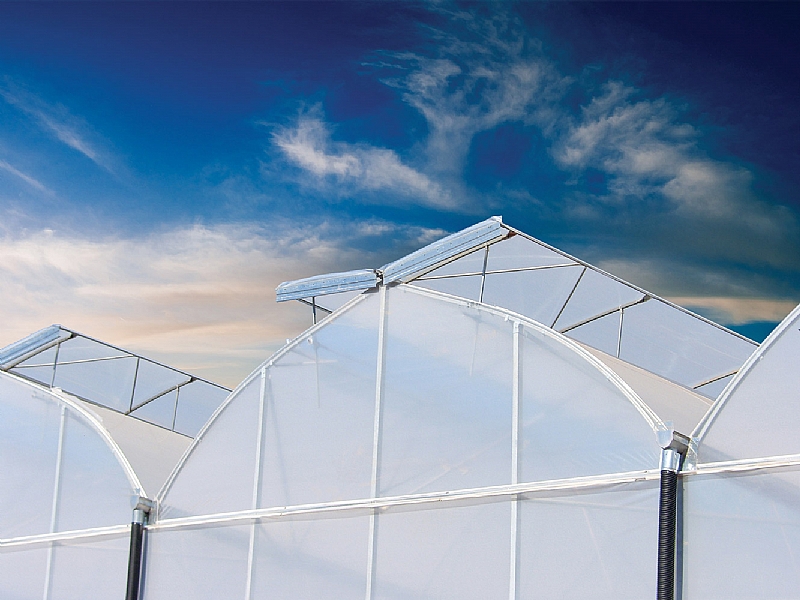 Serrated Multi-Span Plastic Film Greenhouse for Vegetables