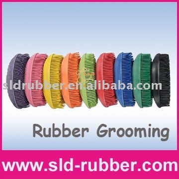 Horse Cleaning Brushes