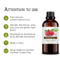 Private Label Bulk price Organic Rose Hip Oil