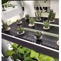 Spectrum smart vertical indoor hydroponic growing system