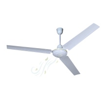 56Inch Royal White Color Ceiling Mounted Home Fan