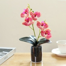Realistic Faux Phalaenopsis Orchids in Plastic Pot - Artificial Orchid Plant for Table Centerpiece