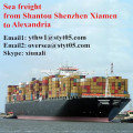 Transport de fret de Shantou à Alexandrie maritime