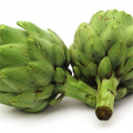 ISO Factory wholesale 10:1 Artichoke extract