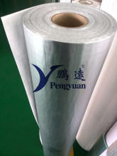 Put Frozen Food in The Bag