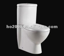 Dual Flush Toilet Washdwon Two-piece Toilet A-2129