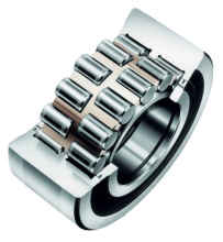 Double-Row Cylindrical Roller Bearing