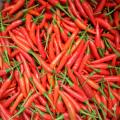 Peperoncino piccante caotico Hotsale