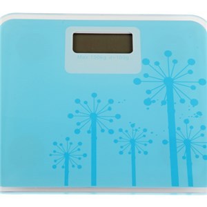 Mini Weighing Scale TS-MINID01