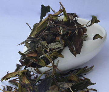 High Grade Shou Mei White Tea