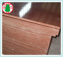Outside used brown film laminated  construction plywood