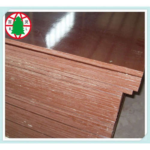 Outside used brown film laminated  construction plywood