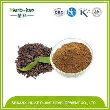 Puer Tea Extract 40% Yunnan Low Content Monomer