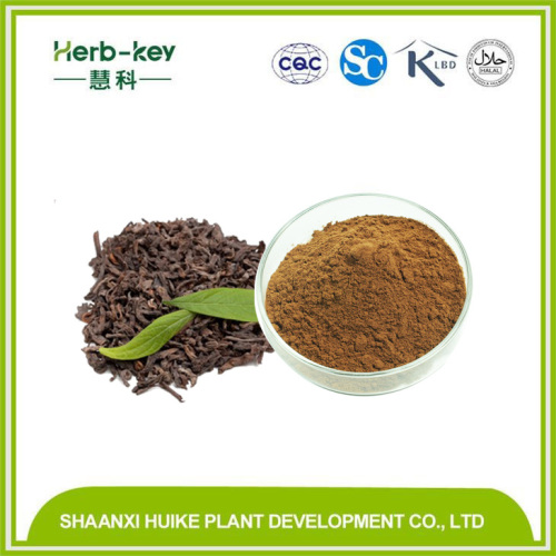 Puer Tea Extract 40% Yunnan Low Content Monomer