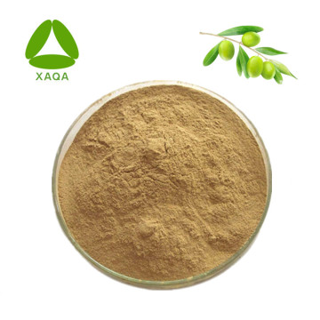 Olive Leaf Extract Powder Oleuropein 20% 40% 32619-42-4