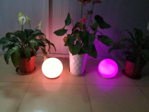 New Design Led Ball Night Light