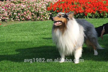 friendly dog mats pet grass mats