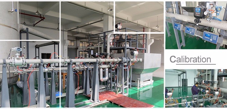 ATEX CE approved Coriolis mass flow transmitter