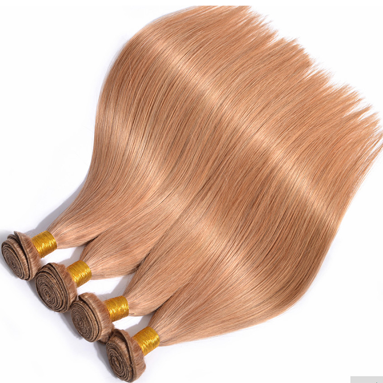 Xuchang wholesale hair vendors free sample virgin brazilian human hair bundles color 27 straight hair extension
