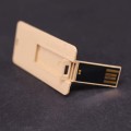 Karten-USB-Flash-Festplatte / Stiftdiskette / Memory-Stick