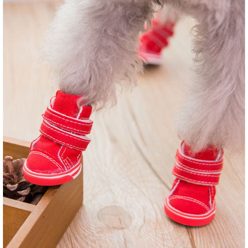 Bottes chaudes d&#39;hiver pour chien