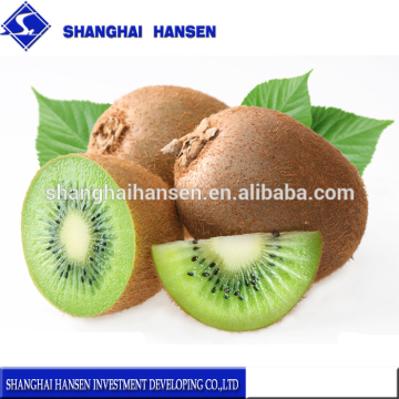 Fresh kiwi fruit import agency service import fruit foreign trade agency