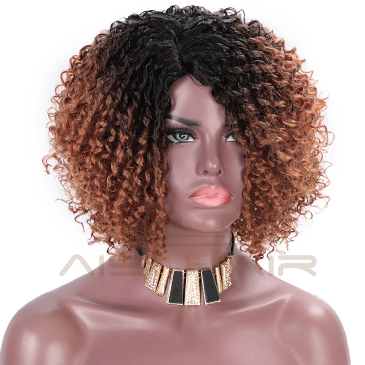 Aisi Hair Afro Kinky Curly Short Wigs Heat Resistant Synthetic Fiber Wigs Deep Curly Wigs for African Americans