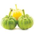 Polvo puro natural del extracto de la fruta de Garcinia cambogia del 100%