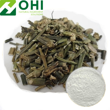 Andrographis paniculata extract powder
