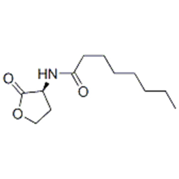 Octanamida, N - [(3S) -tetra-hidro-2-oxo-3-furanil] - CAS 147852-84-4