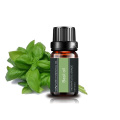 Good Quality Best Selling Bulk 100% Pure Basil Essential Oil