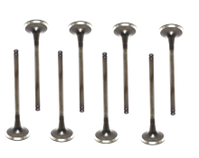 High-Performance Exhaust Valve 2221225002