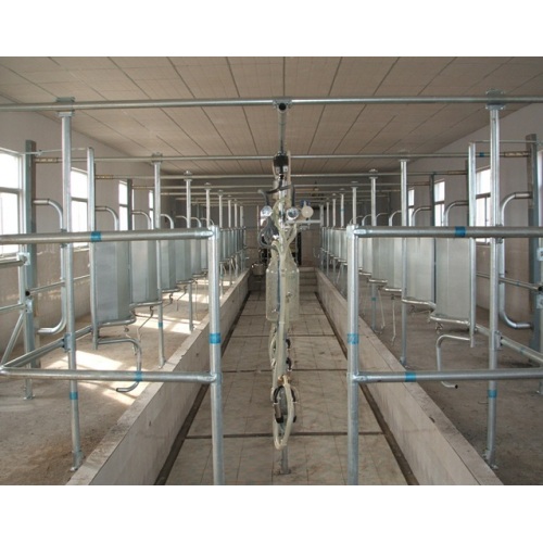 Automatic Cow Or Goat Milking Parlor Price