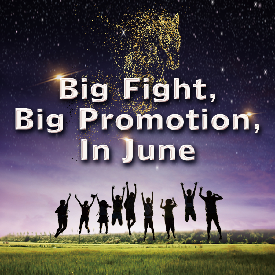 Big Promotion in June